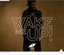 Avicii - Wake me up